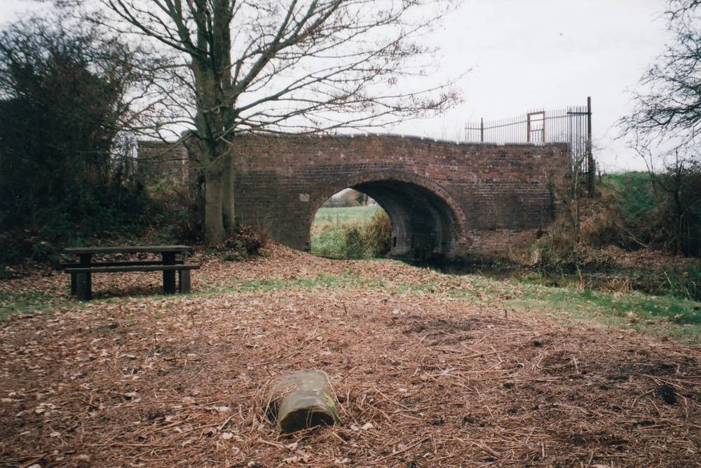 pic9
